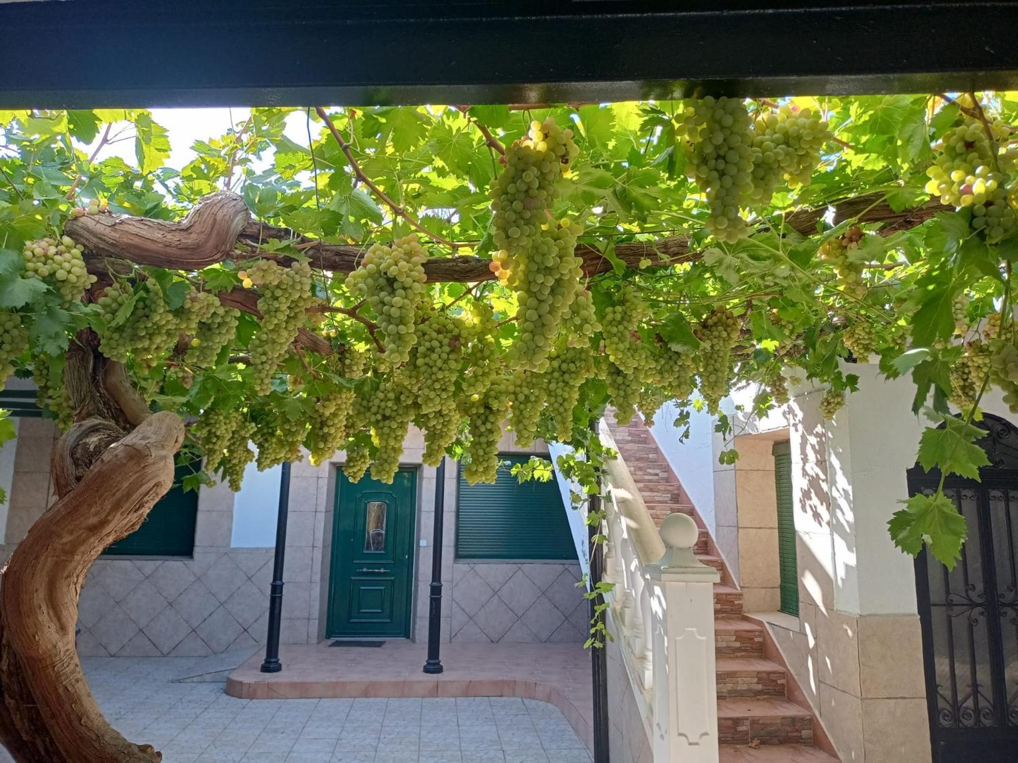Casa Rural La Del Alba Seria Аргамасилья-де-Альба Экстерьер фото